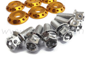 FENDER DRESS UP BOLT KIT - EVO - SILVER - GOLD WASHERS